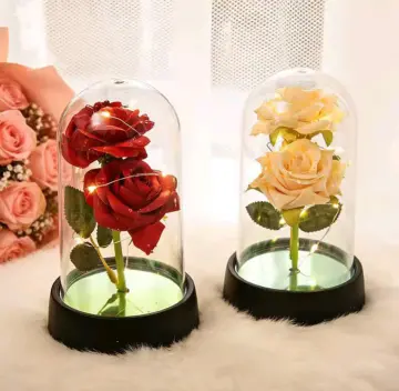 ROSA EN CAPSULA  15X8.5 CM RF:13913