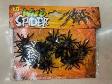 ARAÑAS PARTY ON -580